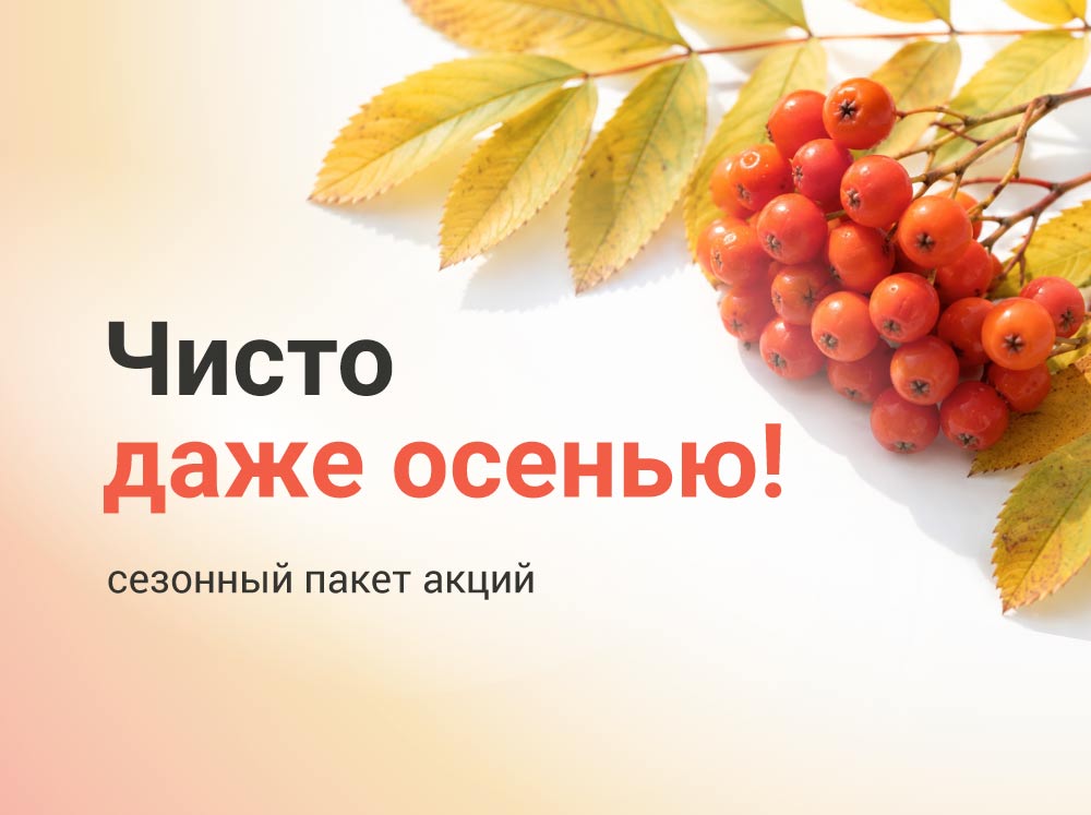 Чисто даже осенью!